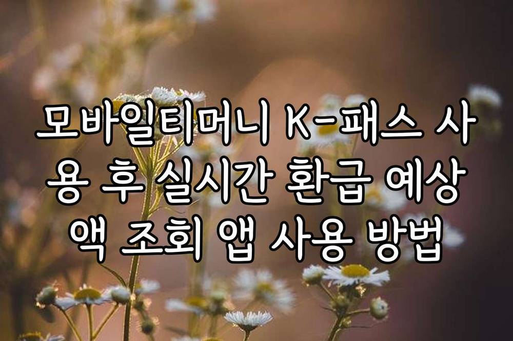 모바일티머니 K-패스 사용 후 실시간 환급 예상액 조회 앱 사용 방법
