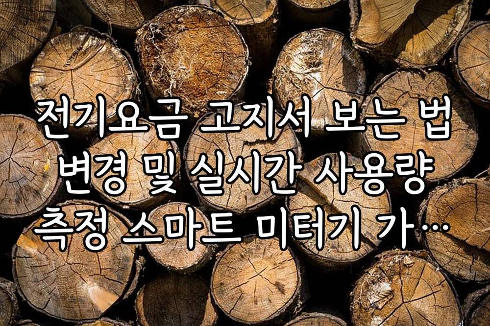 전기요금 고지서 보는 법 변경 및 실시간 사용량 측정 스마트 미터기 가이드