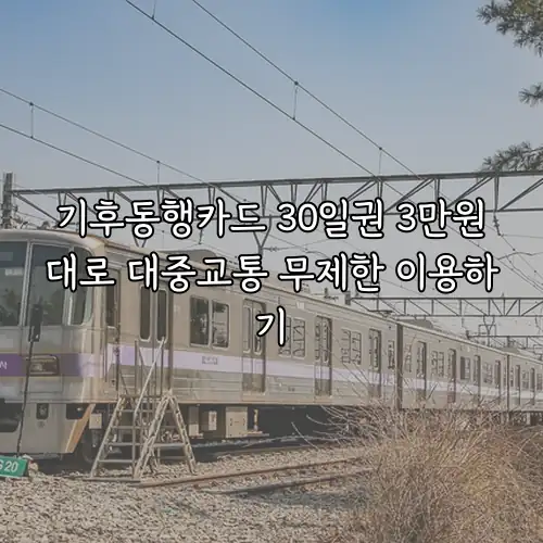 기후동행카드 30일권 3만원대로 대중교통 무제한 이용하기