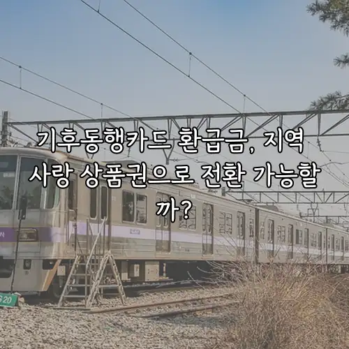 기후동행카드 환급금, 지역 사랑 상품권으로 전환 가능할까?
