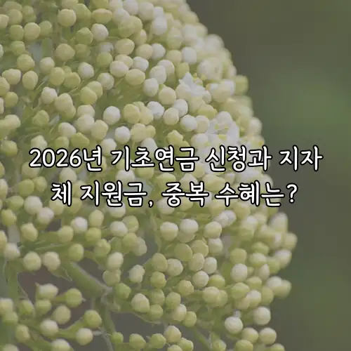 2026년 기초연금 신청과 지자체 지원금, 중복 수혜는?