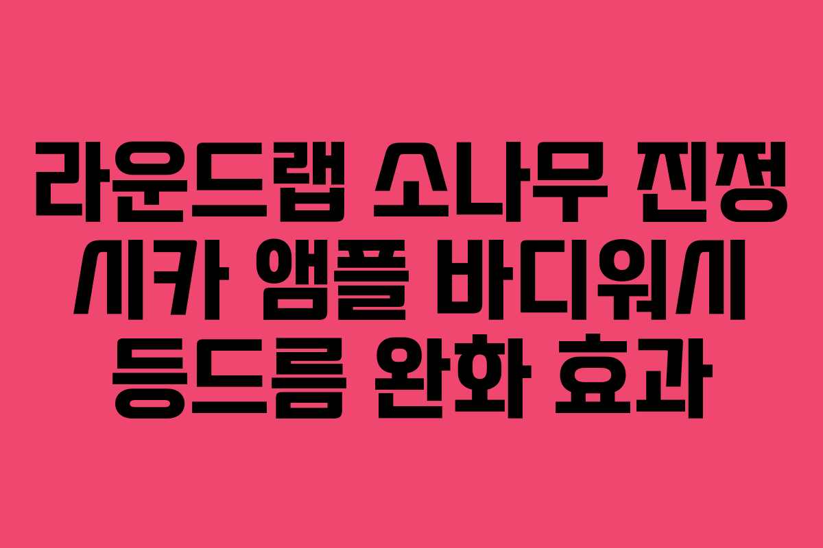 라운드랩 소나무 진정 시카 앰플 바디워시 등드름 완화 효과 라운드랩 소나무 진정 시카 앰플 바디워시 등드름 완화 효과