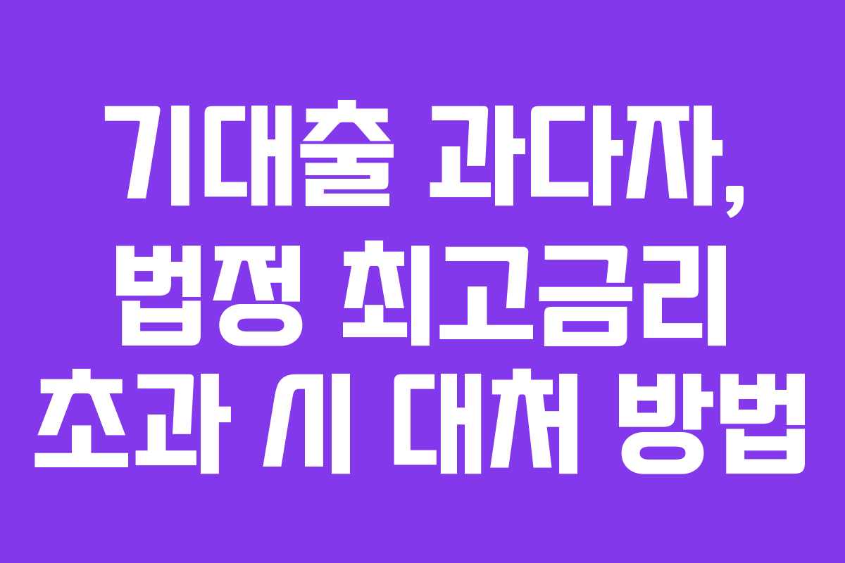 기대출 과다자, 법정 최고금리 초과 시 대처 방법 기대출 과다자, 법정 최고금리 초과 시 대처 방법